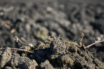 Freshly plowed dark earth with a detailed texture, ready for planting