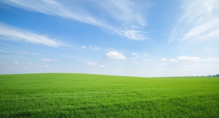 Fototapeta premium A broad expanse of green earth beneath a clear serene sky
