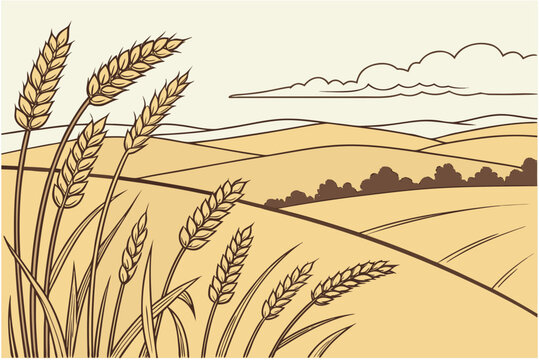 Golden wheat field landscape cartoon simple vector illustration