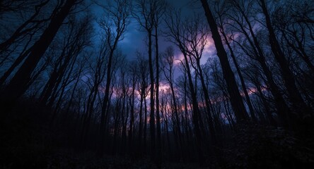 Naklejka premium Artistic portrayal of a shadowy forest with skeletal trees beneath a dark sky