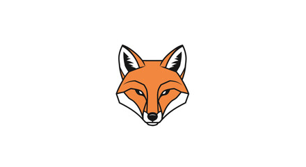 Fototapeta premium Close up of a fox face.