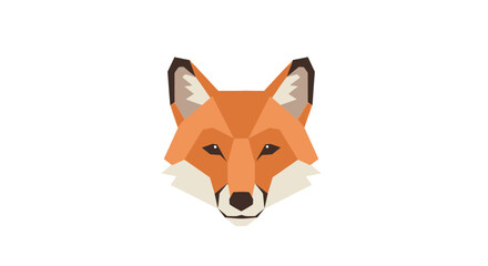 Fototapeta premium Close up of a fox face.