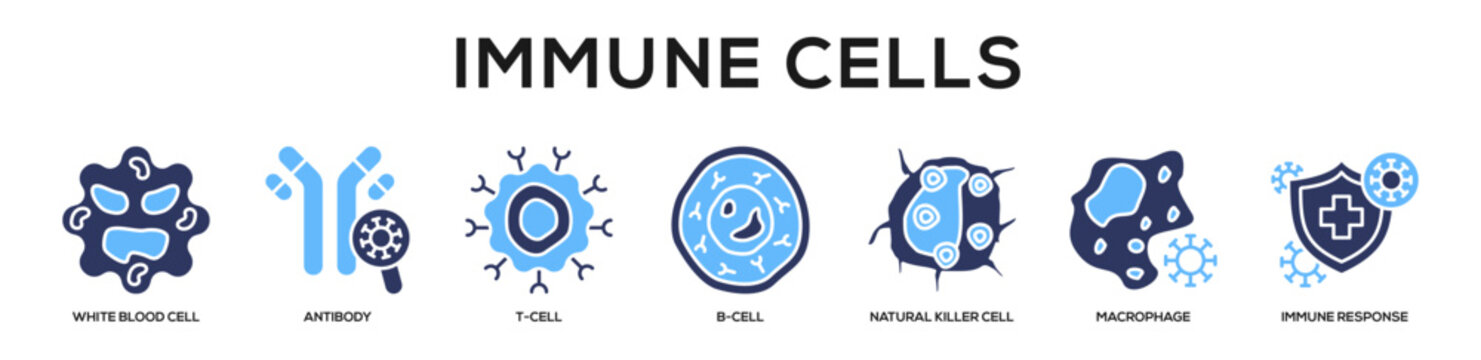 Glyphcolor - Immune Cells web banner icon vector illustration concept