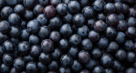 Naklejka premium Black muscat grape cluster texture with soft natural lighting background