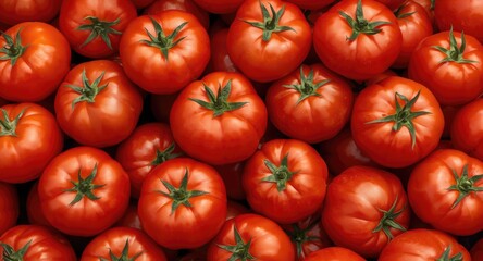 A vibrant group of tomatoes stacked to highlight fresh produce © AkuAku