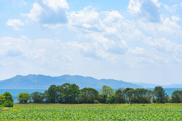 Rural farmland landscape in Amakusa with view toward Shimabara Peninsula Japan