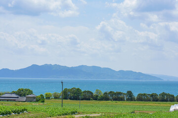天草の畑から望む島原方面の海と農村風景