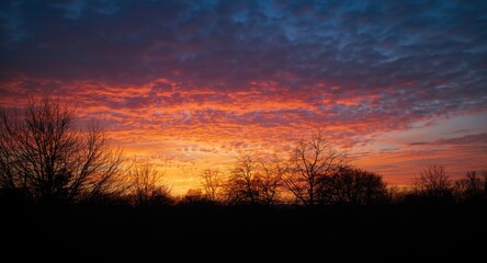 Fototapeta premium Colorful sunset sky with silhouetted trees and vibrant clouds