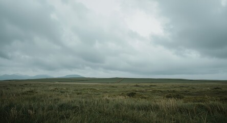 Broad grassy land featuring a calm, overcast sky atmosphere