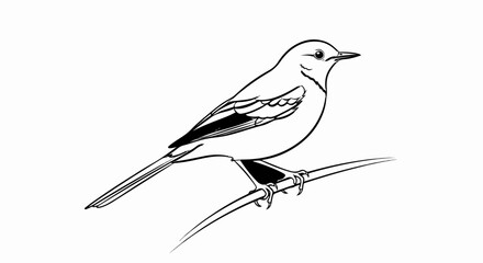 Obraz premium A black and white line drawing of a small bird perched on a thin branch