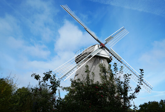 Wooden traditional windmill in Ahrenshoop, Darss Peninsula, Germany
