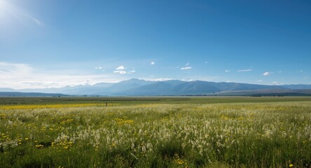 Fototapeta premium Bright and peaceful summer view of wildflower strewn plains and grand mountain silhouettes beneath an open sky