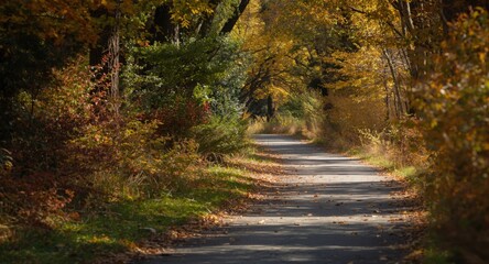 Fototapeta premium Active leisure and relaxation in nature along a colorful autumn park trail on a sunny day