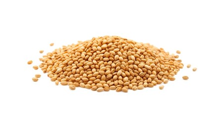 Detailed malted barley pile displayed on a plain white surface