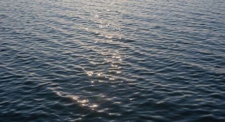 Calm bay surface with reflective oil shimmer catching sunlight glints