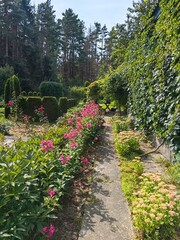 Summer garden design with flower borders.