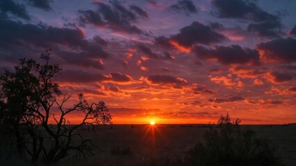 Low sun breaking through clouds above open scrubland.