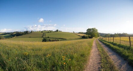 Naklejka premium Beautiful panoramic landscape of rural countryside under clear sky