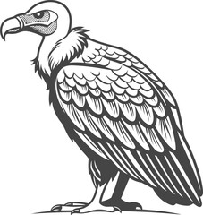 Fototapeta premium A stylized illustration of a vulture is depicted on a plain white background. The vulture stands in a three-quarter view, facing towards the left. It has a large, hooked beak, a bald head, and detaile