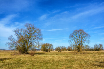 Podlaskie Safari - Naewiański Park Narodowy, Polska © podlaski49