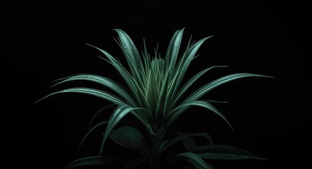 AI crafted image of alien plant isolated on black background