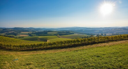Obraz premium Bright summer day with rolling hills under clear sunshine