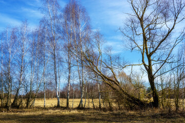 Podlaskie Safari - Naewiański Park Narodowy, Polska © podlaski49