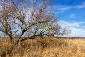 Podlaskie Safari - Naewiański Park Narodowy, Polska © podlaski49