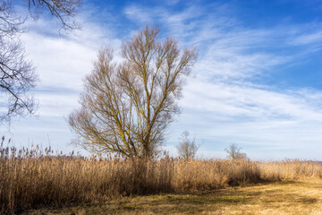 Podlaskie Safari - Naewiański Park Narodowy, Polska © podlaski49