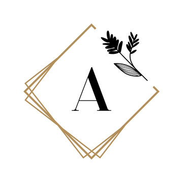 vector illustration of an A alphabe