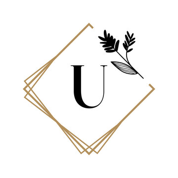 vector illustration of a U initial