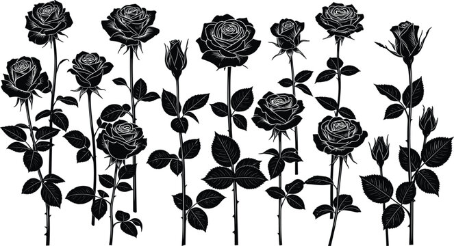 Elegant black rose silhouette vector collection featuring various long stem blooming flowers and delicate floral buds isolated on a clean white background