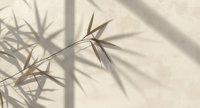 Elegant bamboo leaf shadow spreads on a neutral wall surface featuring copy space for text