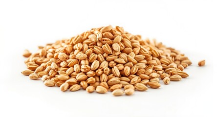 Naklejka premium Pile of malted barley kernels placed on a bright white base