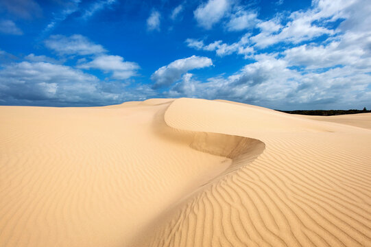 Stockton beach sand dunes near Newcastle NSW Australia