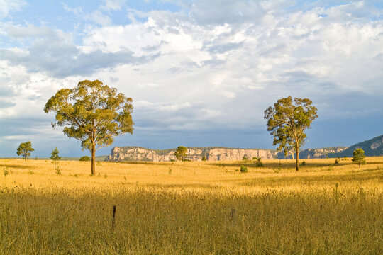 Wolgan Valley  Discovery Trail Wolgan Road Near NEWNES 32 kms from Lithgow NSW Australia