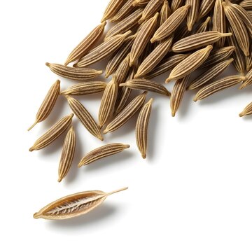 Cumin seeds scattered naturally with one seed cracked open showing inner detail, isolated white background