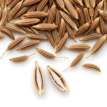Cumin seeds scattered naturally with one seed cracked open showing inner detail, isolated white background