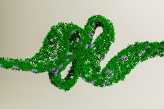 3D botanical abstract cluster with layered grass and floral loops