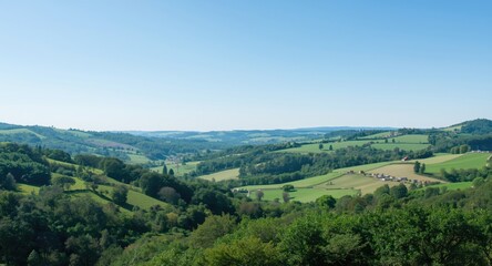 Calm valley with lush green hills and scattered trees below clear sky including copy space