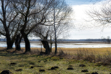 Podlaskie Safari - Naewiański Park Narodowy, Polska © podlaski49