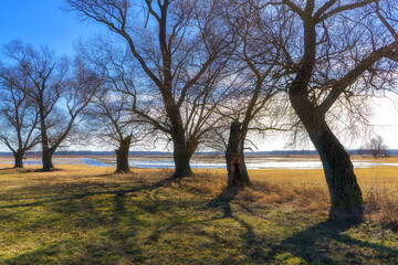 Podlaskie Safari - Naewiański Park Narodowy, Polska © podlaski49