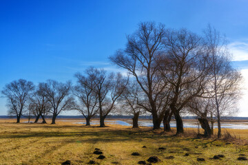 Podlaskie Safari - Naewiański Park Narodowy, Polska © podlaski49