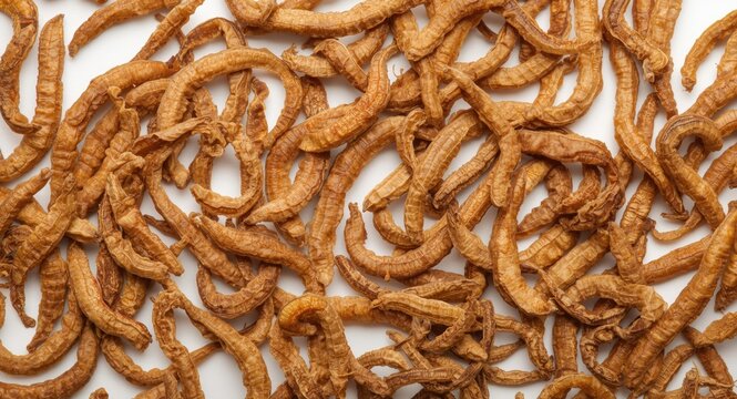 Aerial perspective of dried mealworms on pure white surface ideal for bird and pet nutrition