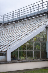 Fototapeta premium Title: Modern Greenhouse Roof with Glass Panels and Metal Structure