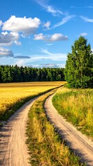 Naklejka premium A scenic dirt road winds through a sun-drenched field towards a distant forest under a bright blue, cloud-filled sky