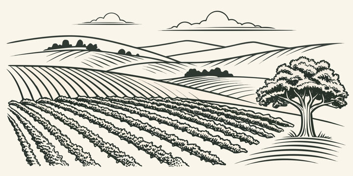 A scenic landscape of rolling hills and a winding path under a cloudy sky Vector