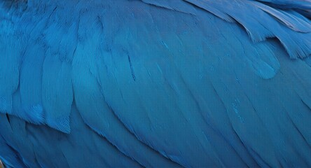 Obraz premium Detailed feather surface of a blue bird presenting vibrant turquoise hues and texture