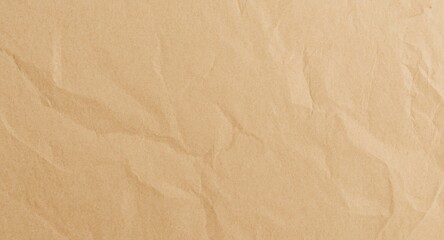 brown paper backdrop with prominent wrinkles and soft daylight textured surface