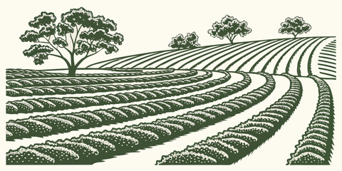 A serene landscape of neatly plowed farmland under a clear sky Vector © zon